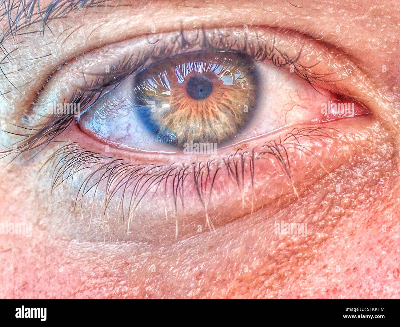 Human eye, hazel colour, close up - Smartphone Captured Stock Image