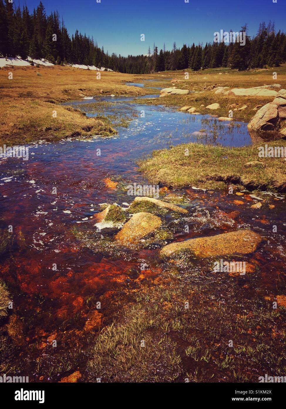 Rio Puerco Stock Photo 310834130 Alamy