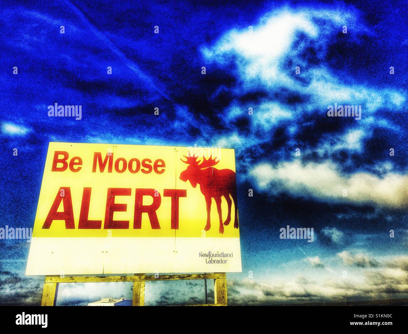 Be moose alert sign, Newfoundland, Canada - Smartphone Captured Stock Image