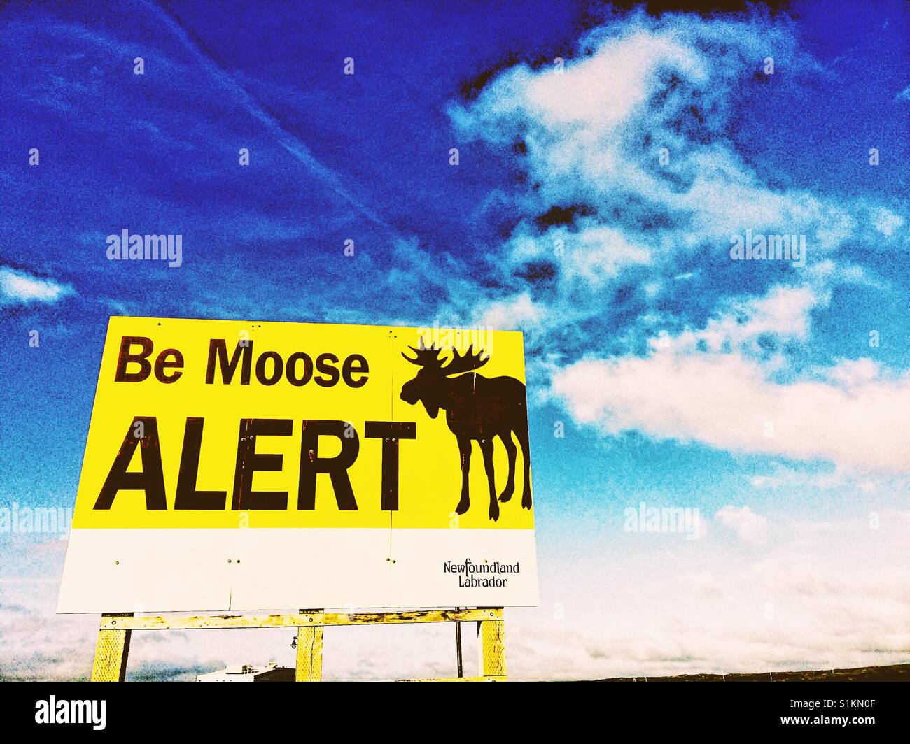 Be moose alert sign, Newfoundland, Canada - Smartphone Captured Stock Image