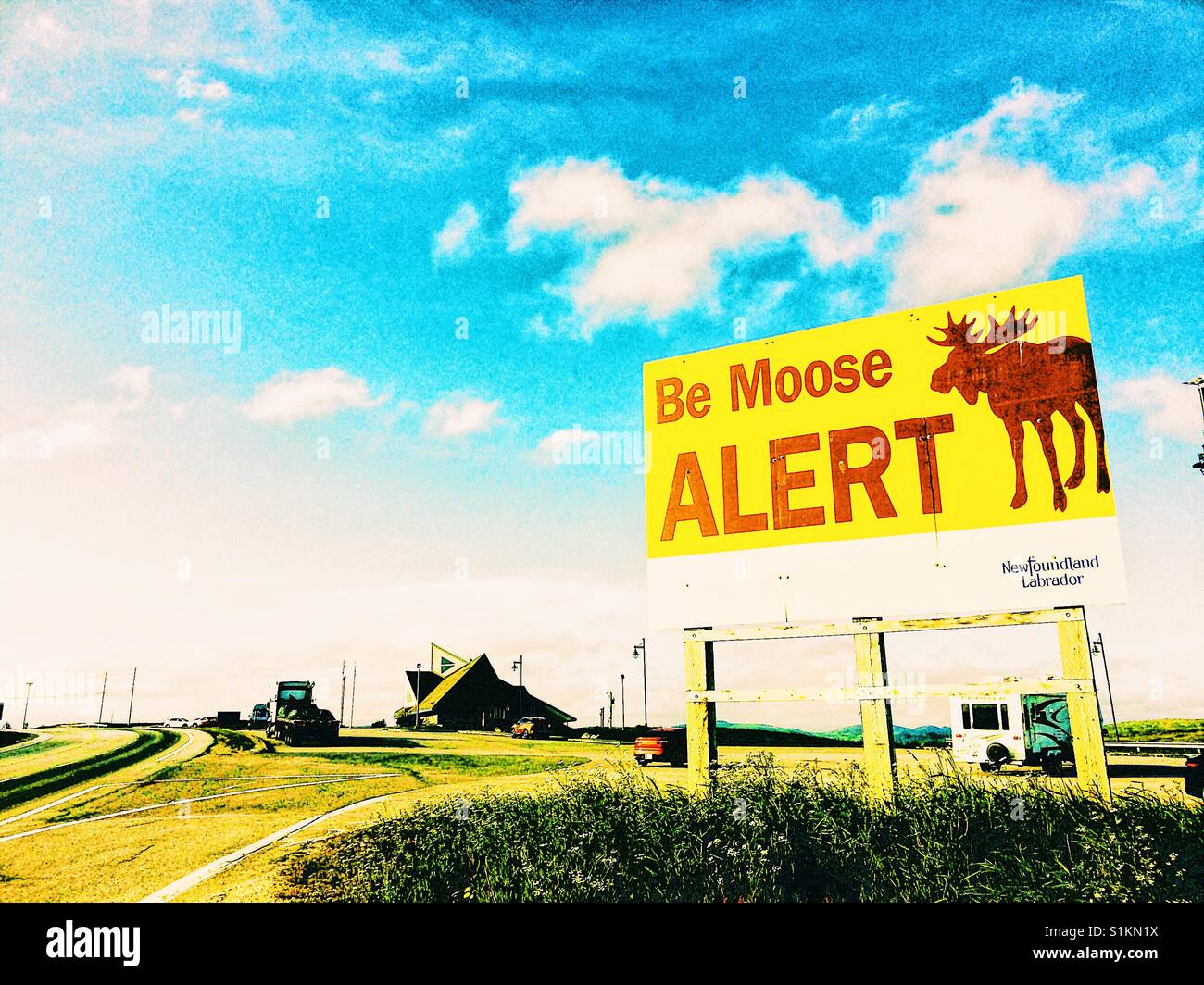Be moose alert sign, Newfoundland, Canada - Smartphone Captured Stock Image