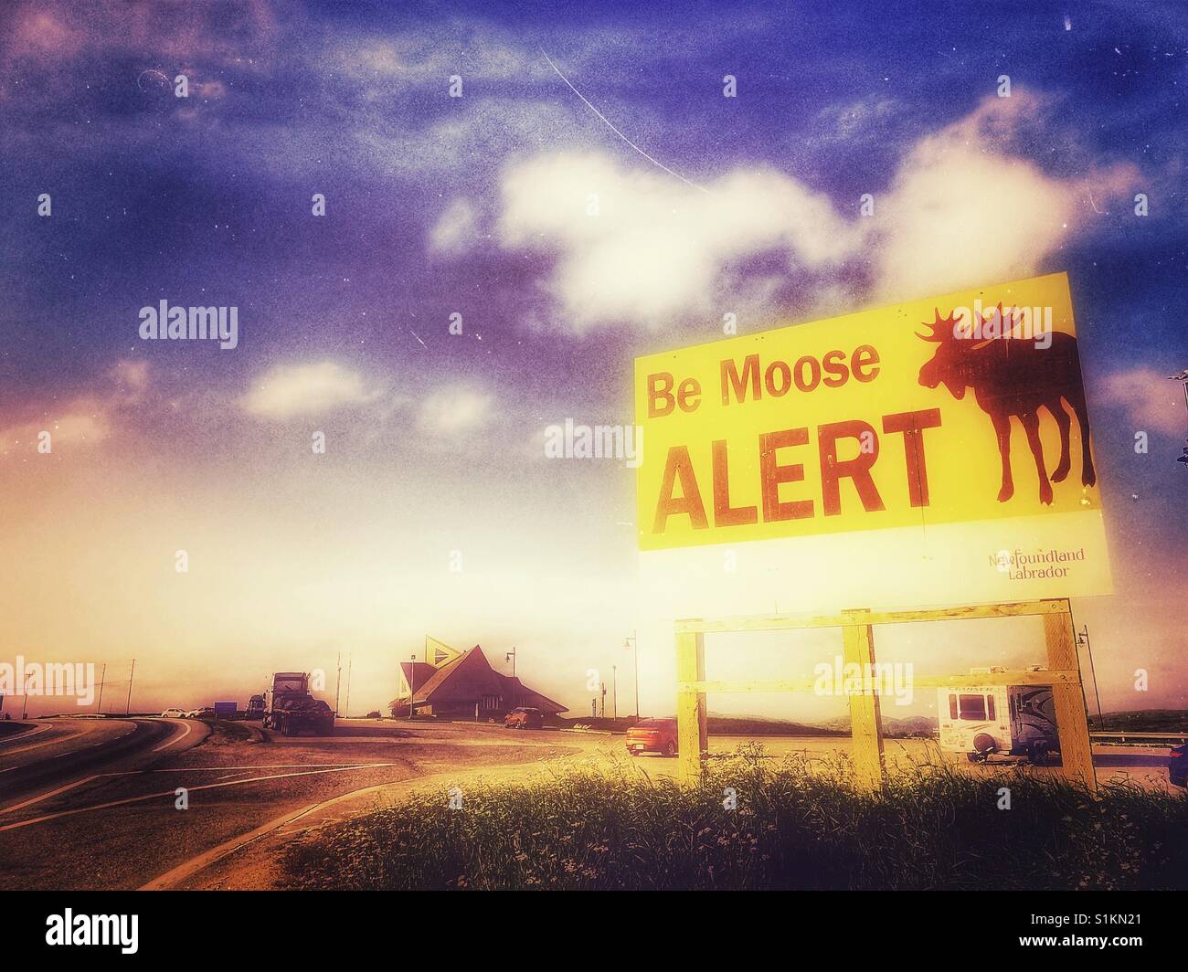 Be moose alert sign, Newfoundland, Canada - Smartphone Captured Stock Image
