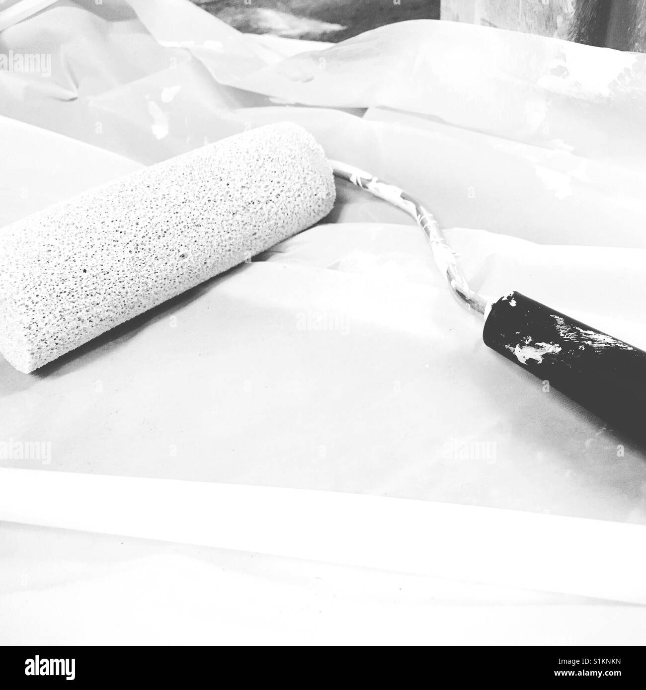 Adding new life to home by painting walls using roller and white paint