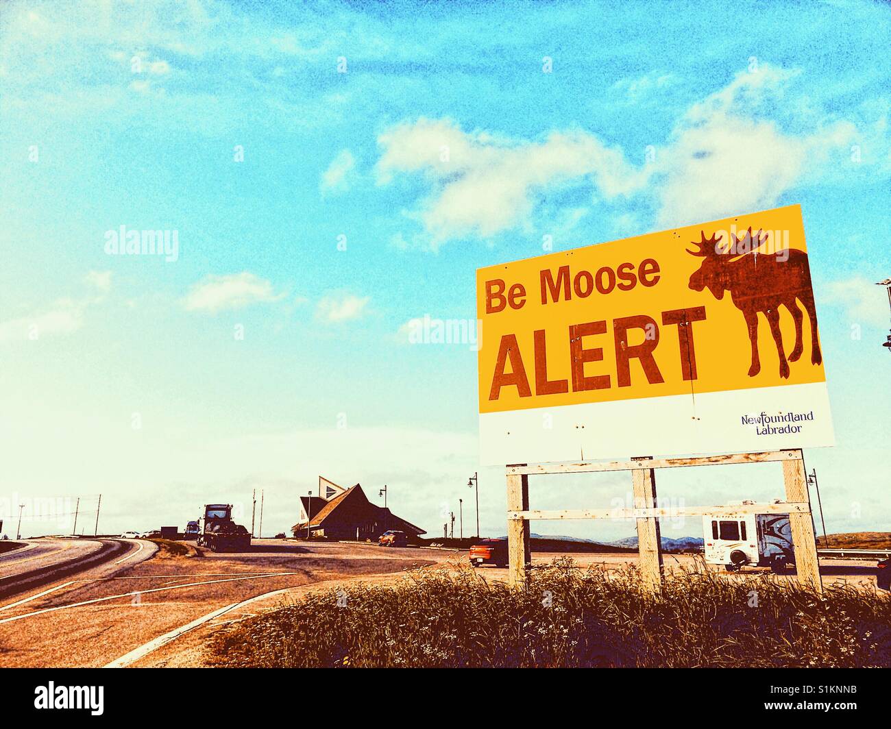 Be moose alert sign, Newfoundland, Canada - Smartphone Captured Stock Image