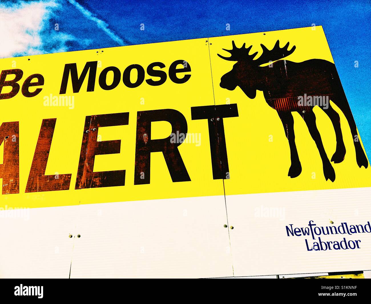 Be moose alert sign, Newfoundland, Canada - Smartphone Captured Stock Image