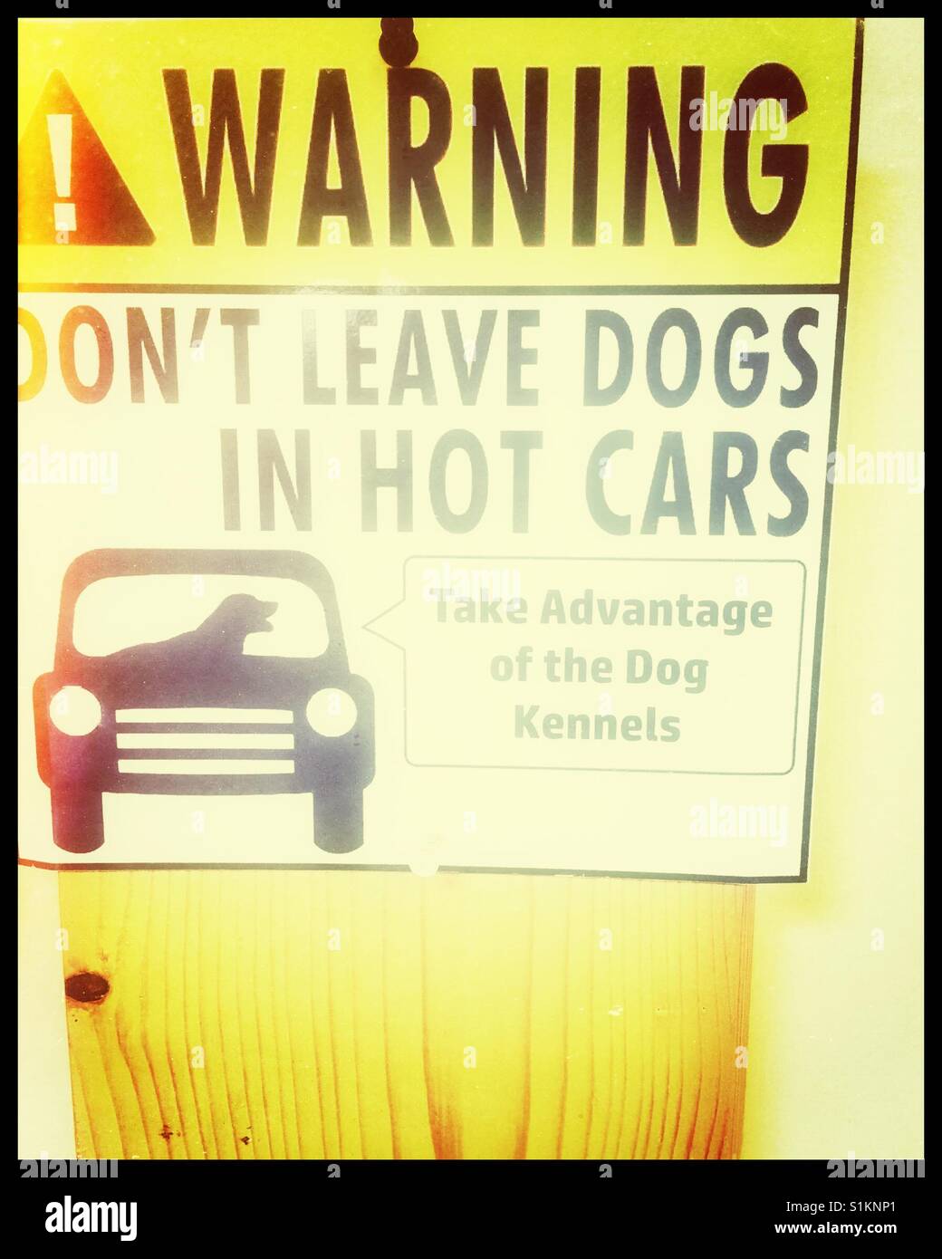 Warning sign don't leave dogs in hot cars - Smartphone Captured Stock Image