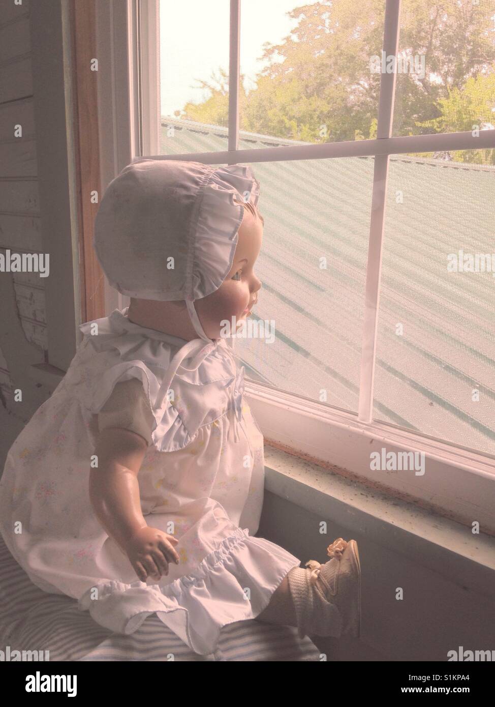Waiting for Daddy- Doris the composition doll scans out window - Smartphone Captured Stock Image