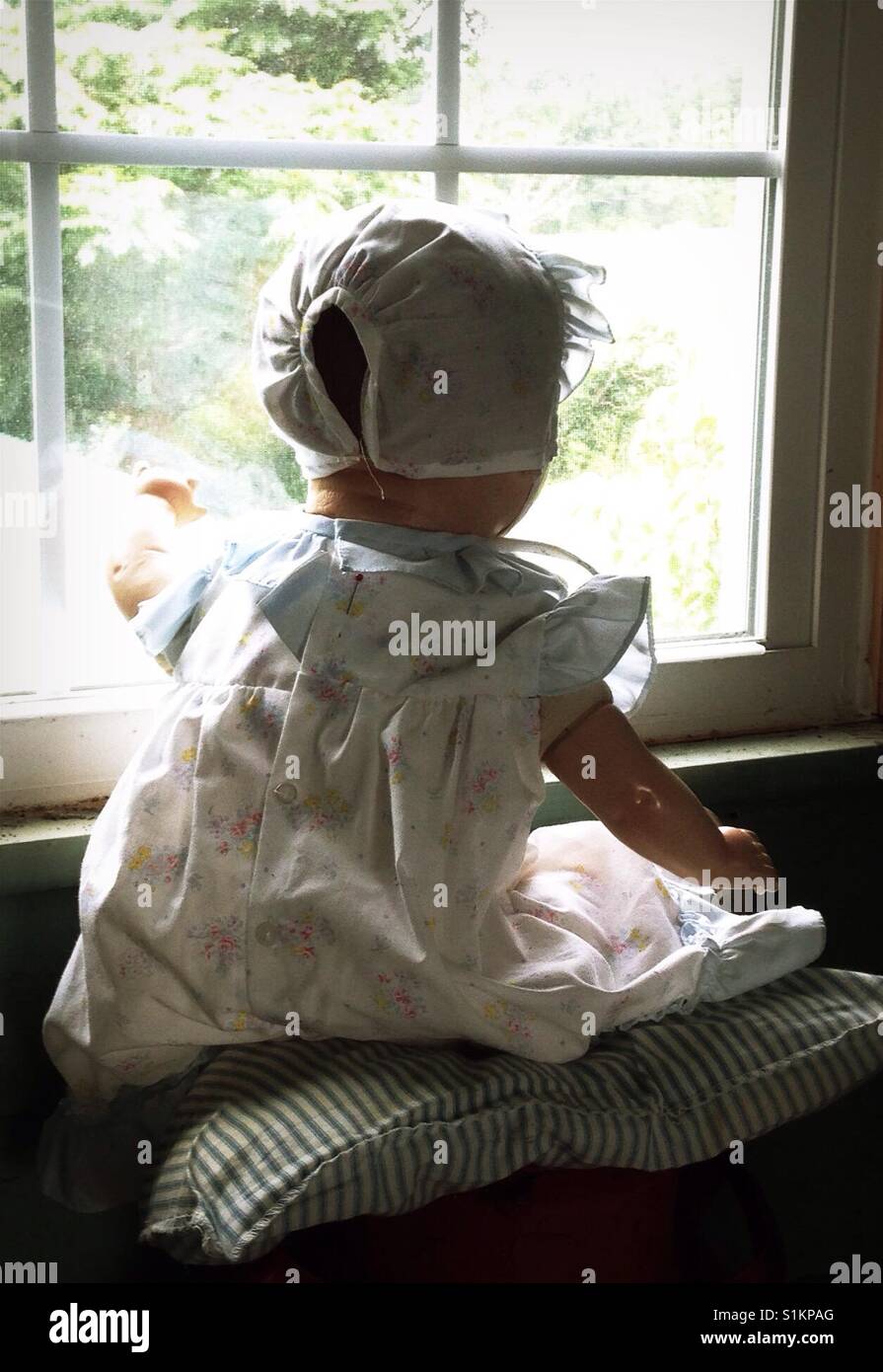 Papa watch- Doris the composition doll watches at window of old house in her ruffled bonnet, dress, socks, and shoes - Smartphone Captured Stock Image