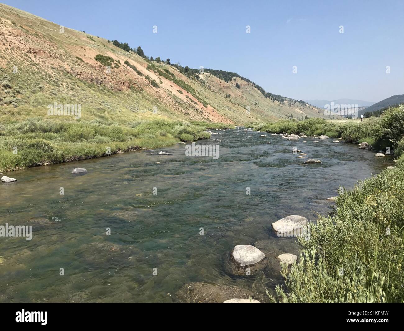Free flowing creek in the Montana mountains. Stock Photo