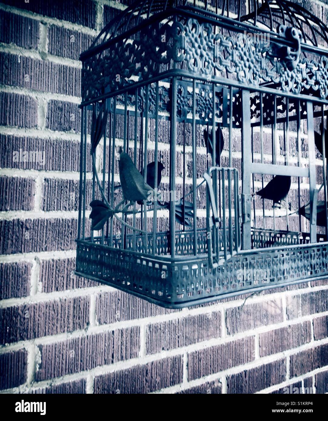 Open birdcage Stock Photo Alamy