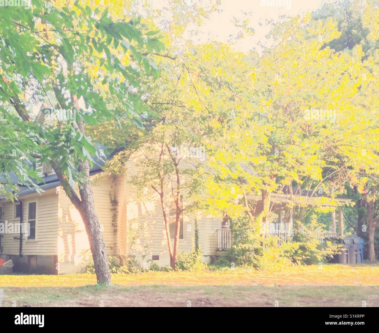 White House, green leaves, morning sun- North Carolina - Smartphone Captured Stock Image