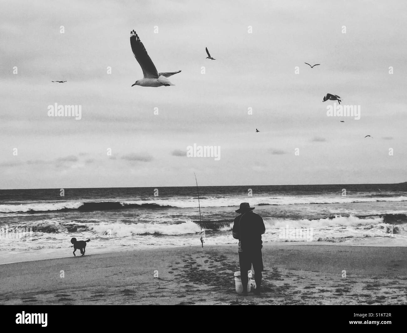 The old man of the sea hi-res stock photography and images - Alamy