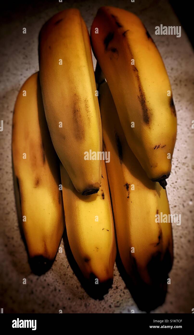 Bunch of lady finger bananas Stock Photo Alamy