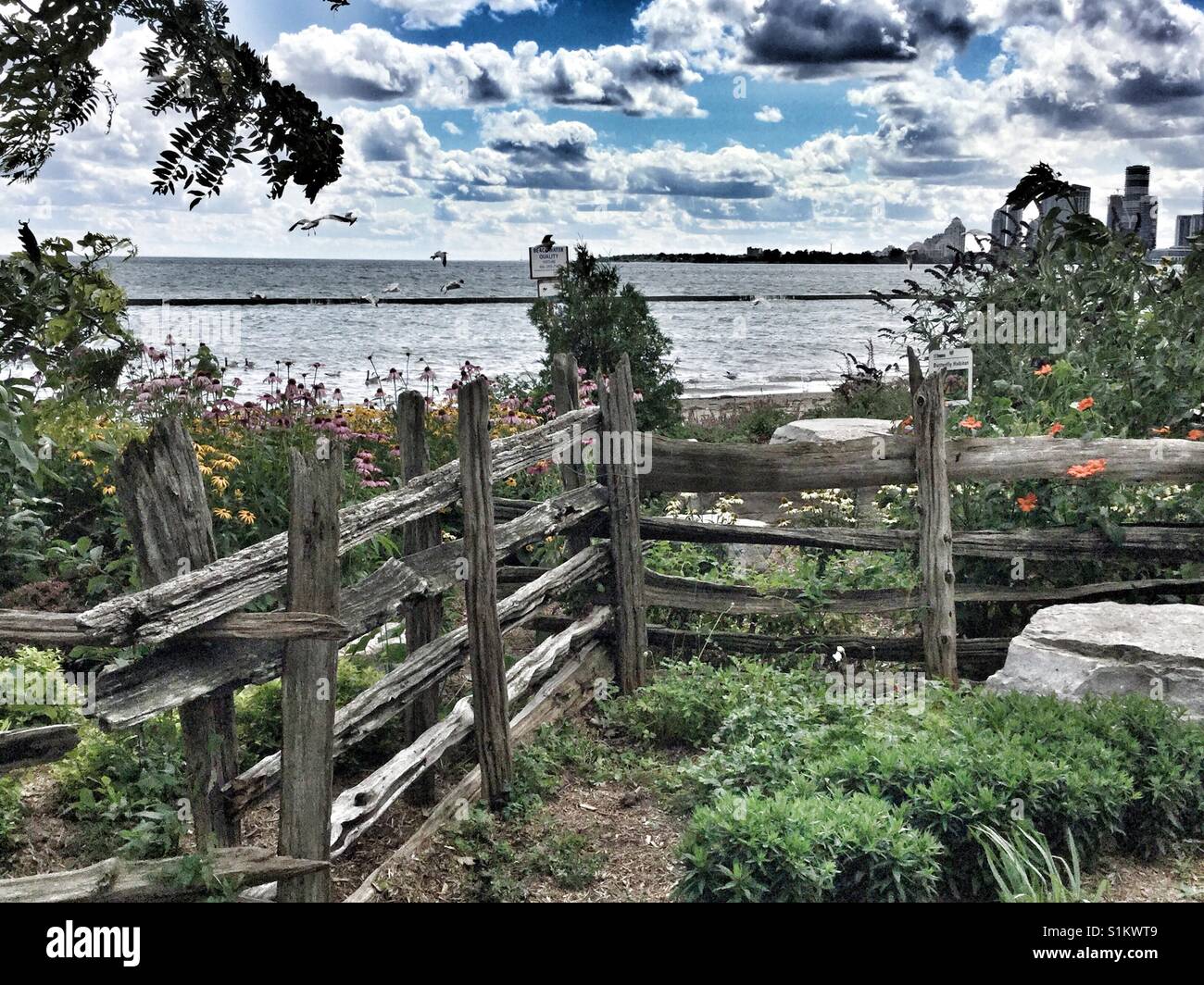 Wooden fence around a butterfly garden on the shores of Lake Ontario in Toronto. Stock Photo