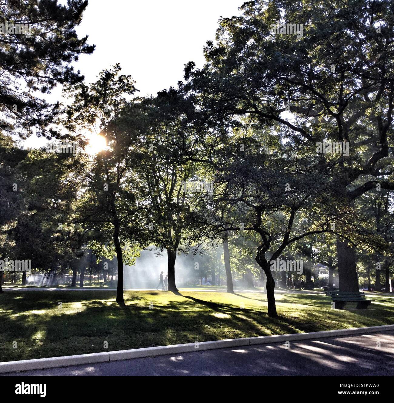 The sun's rays shine through the woods. - Smartphone Captured Stock Image The sun's rays shine through the woods. - Smartphone Captured Stock Image