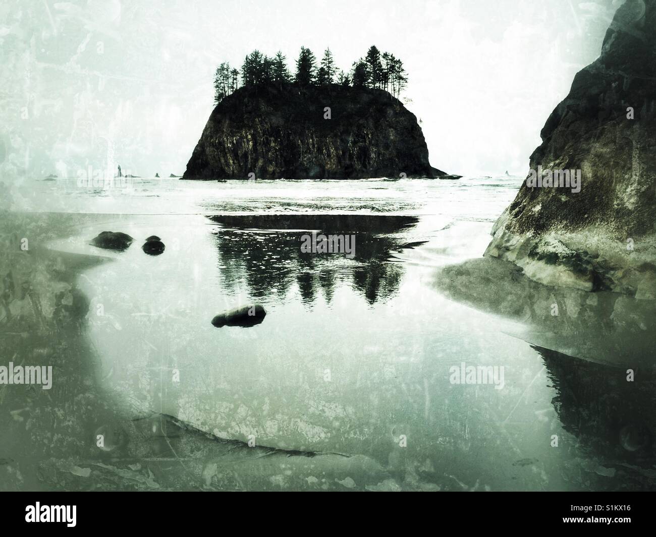 Best beaches on the olympic peninsula