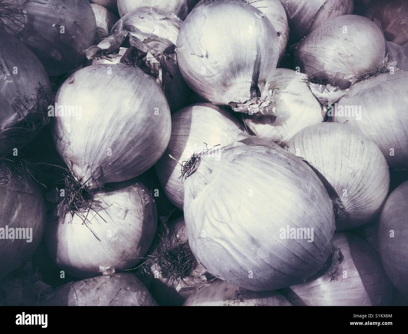 Vegan pile hi-res stock photography and images - Alamy