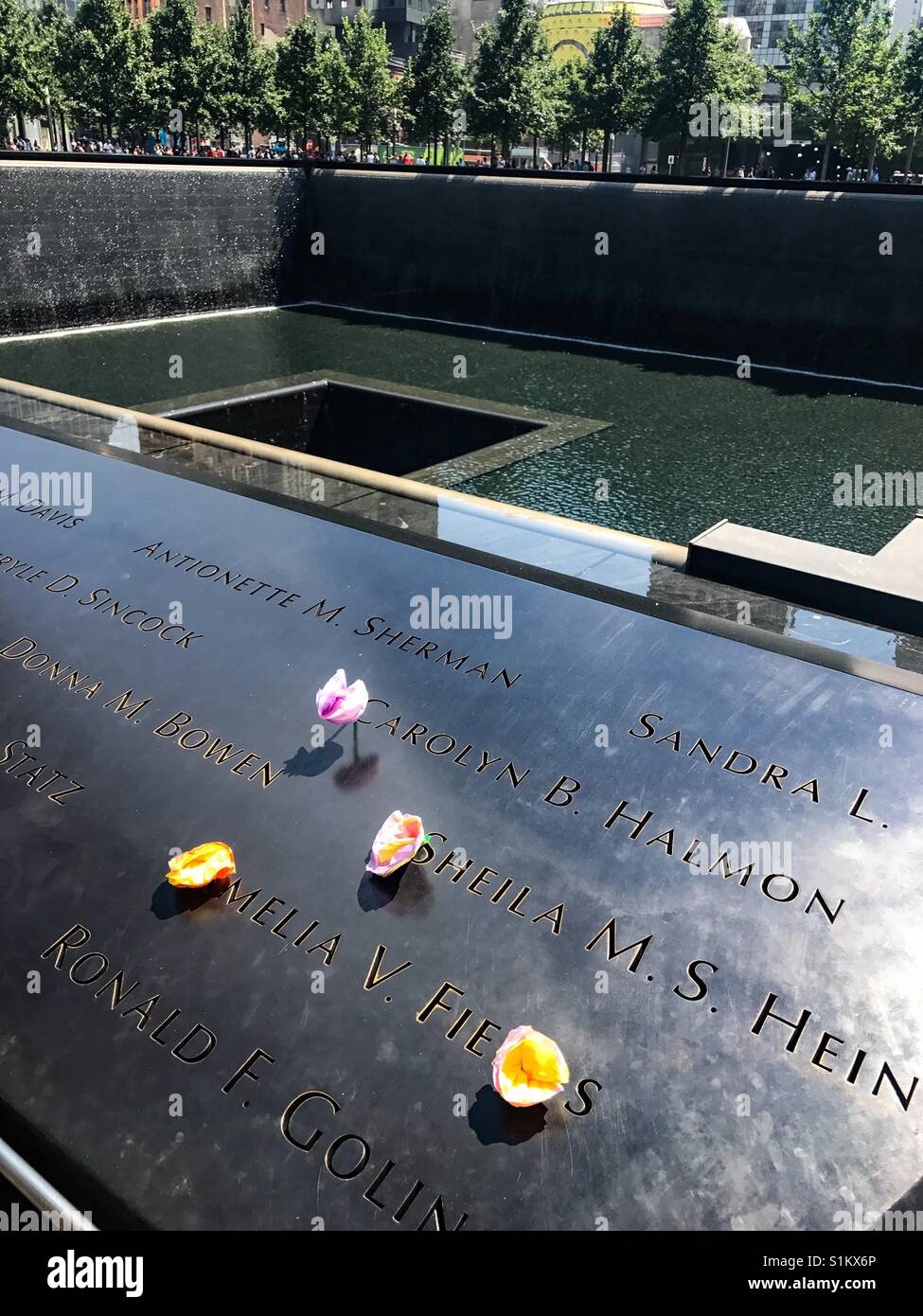 Flowers at the 9/11 memorial in the summer. New York City, New York - Smartphone Captured Stock Image