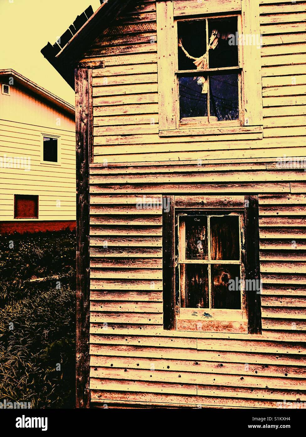 Wooden houses Canada - Smartphone Captured Stock Image