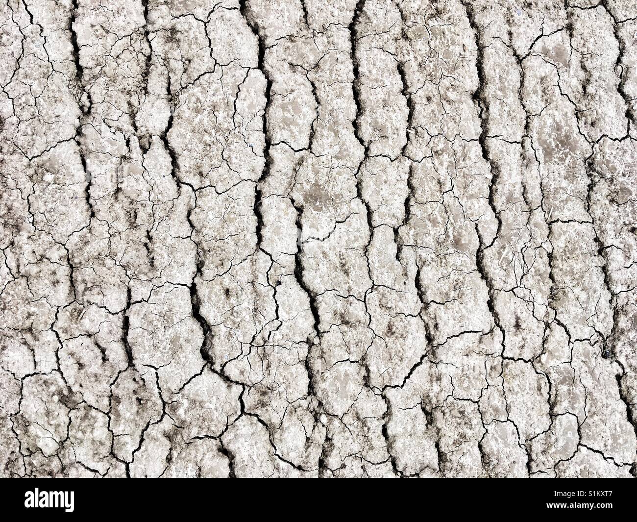 Cracked dry ground - Smartphone Captured Stock Image