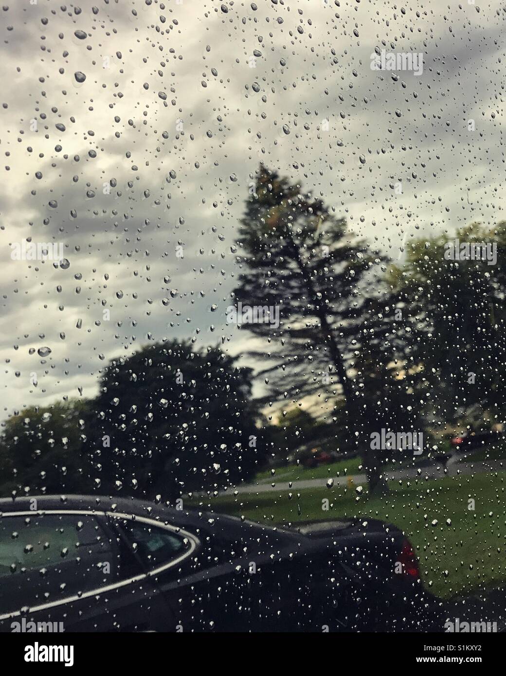 Reflection car window hires stock photography and images Alamy