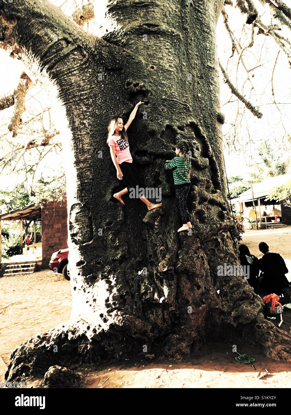Two young girls climbing a tall Baobab tree in Pemba, Mozambique, Africa Stock Photo