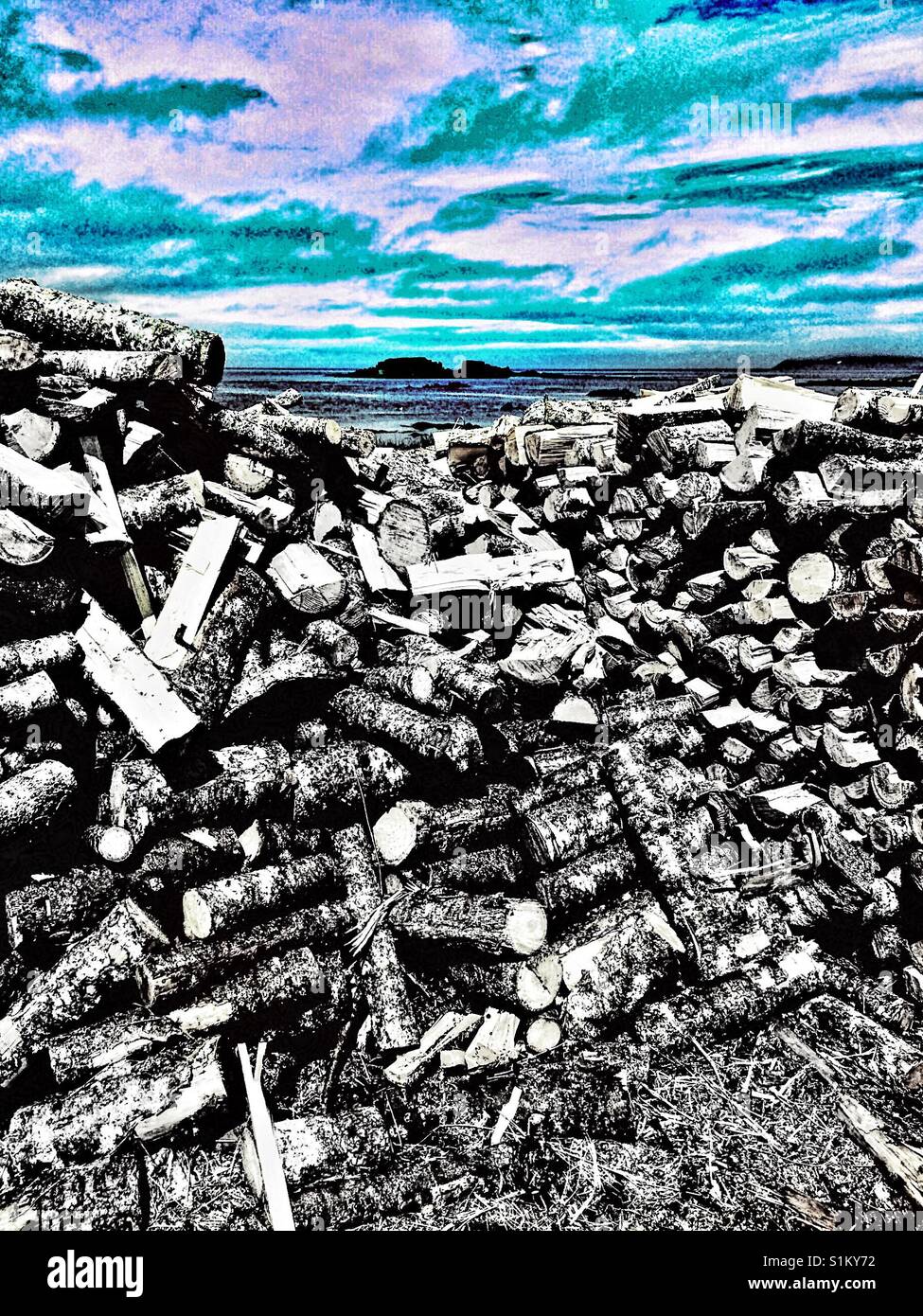 Logs and Atlantic Ocean, Newfoundland, Canada - Smartphone Captured Stock Image