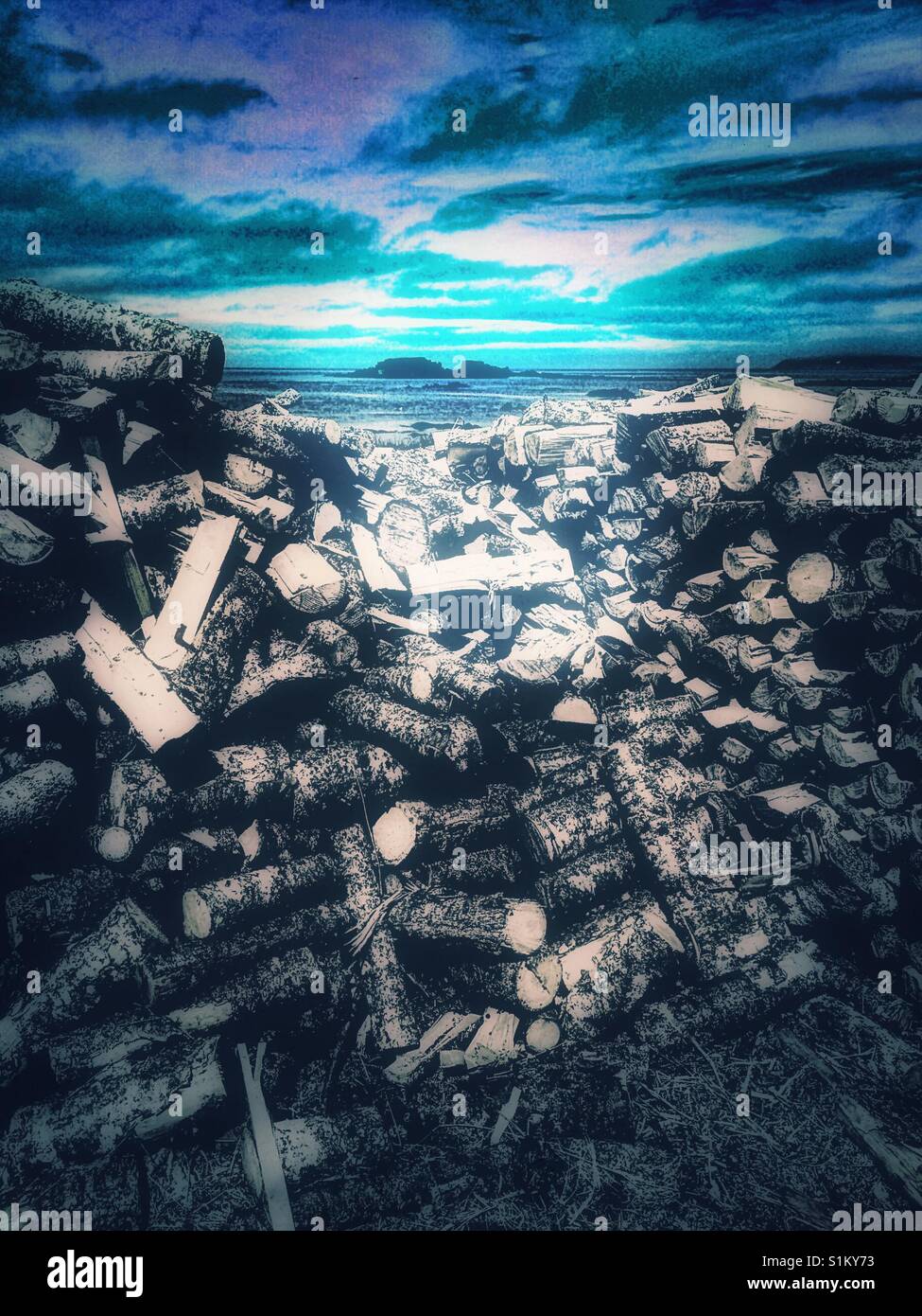 Logs and Atlantic Ocean, Newfoundland, Canada - Smartphone Captured Stock Image