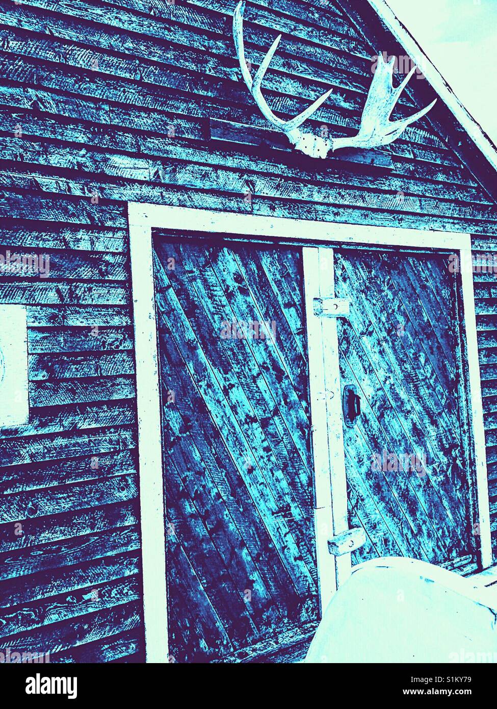 Moose antlers on wooden cabin, Canada - Smartphone Captured Stock Image