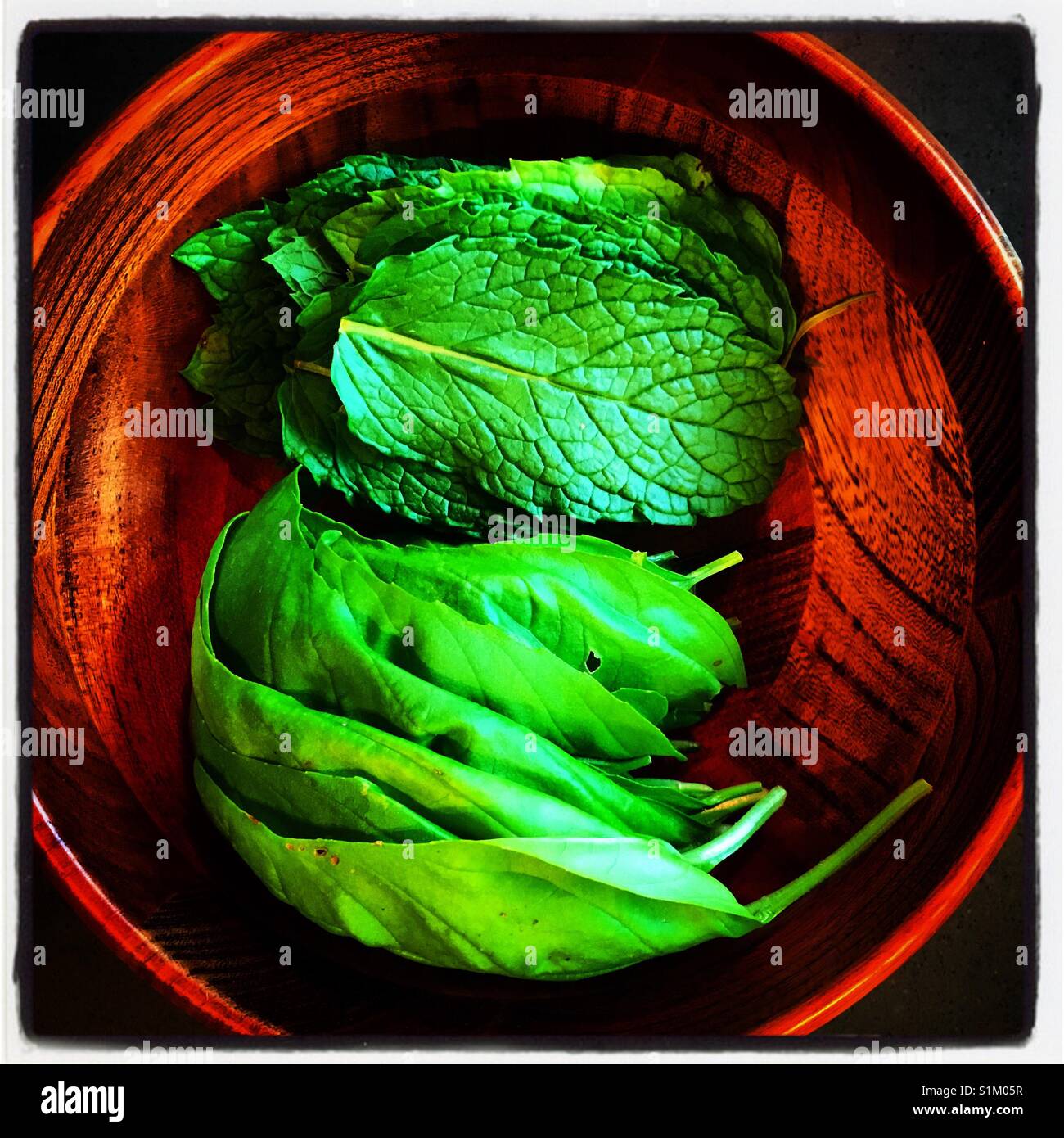 Herbs - Smartphone Captured Stock Image