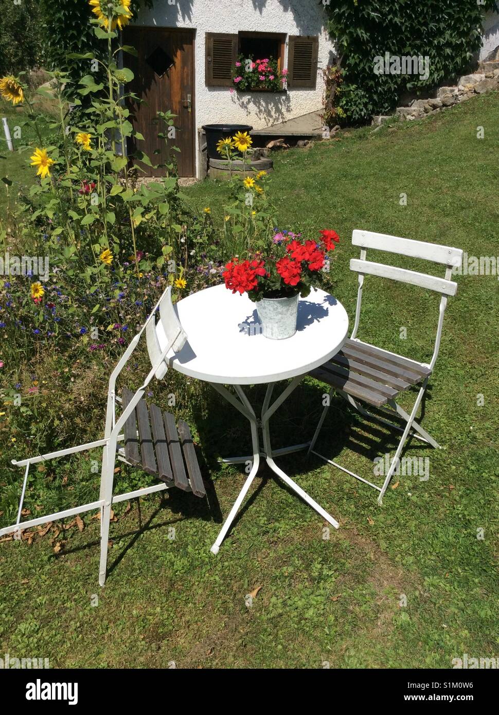 Vintage garden furniture and blooming flowers Stock Photo Alamy