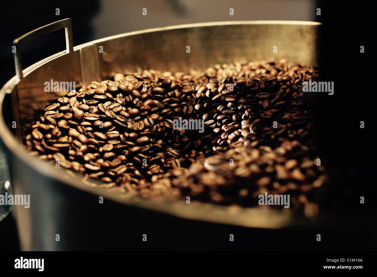 Freshly roasted coffee beans cooling off Stock Photo