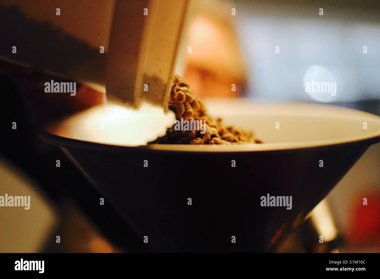 A coffee roaster loads green coffee beans into his roaster Stock Photo