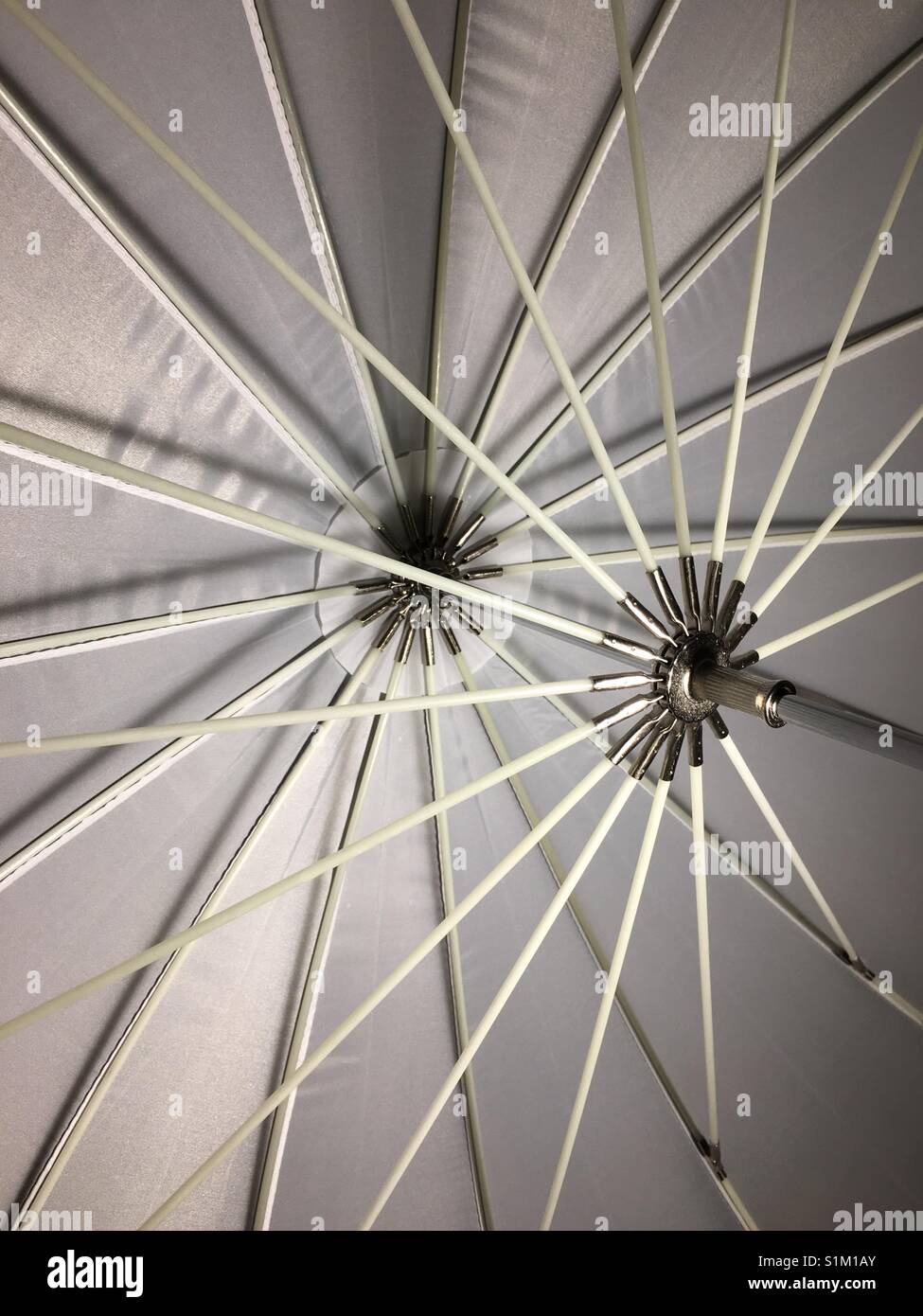 A black and white shoot through umbrella used in photography Stock