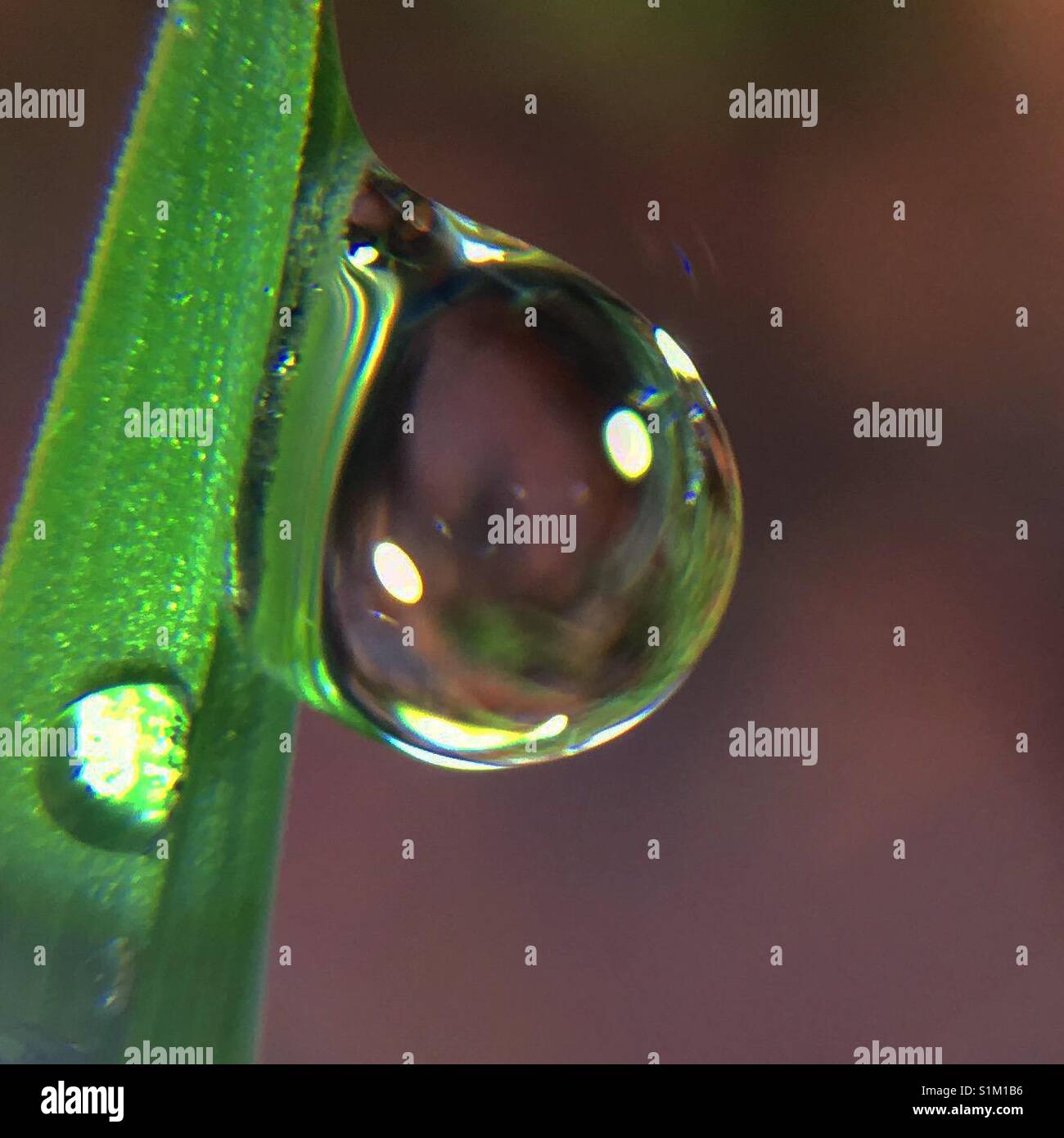 Water blade hires stock photography and images Alamy