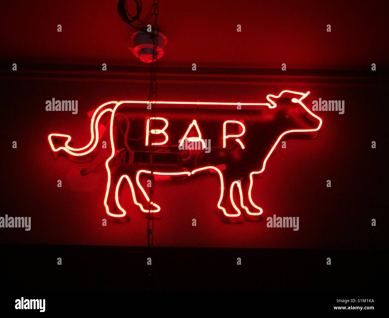 Neon bar sign, Dublin Stock Photo