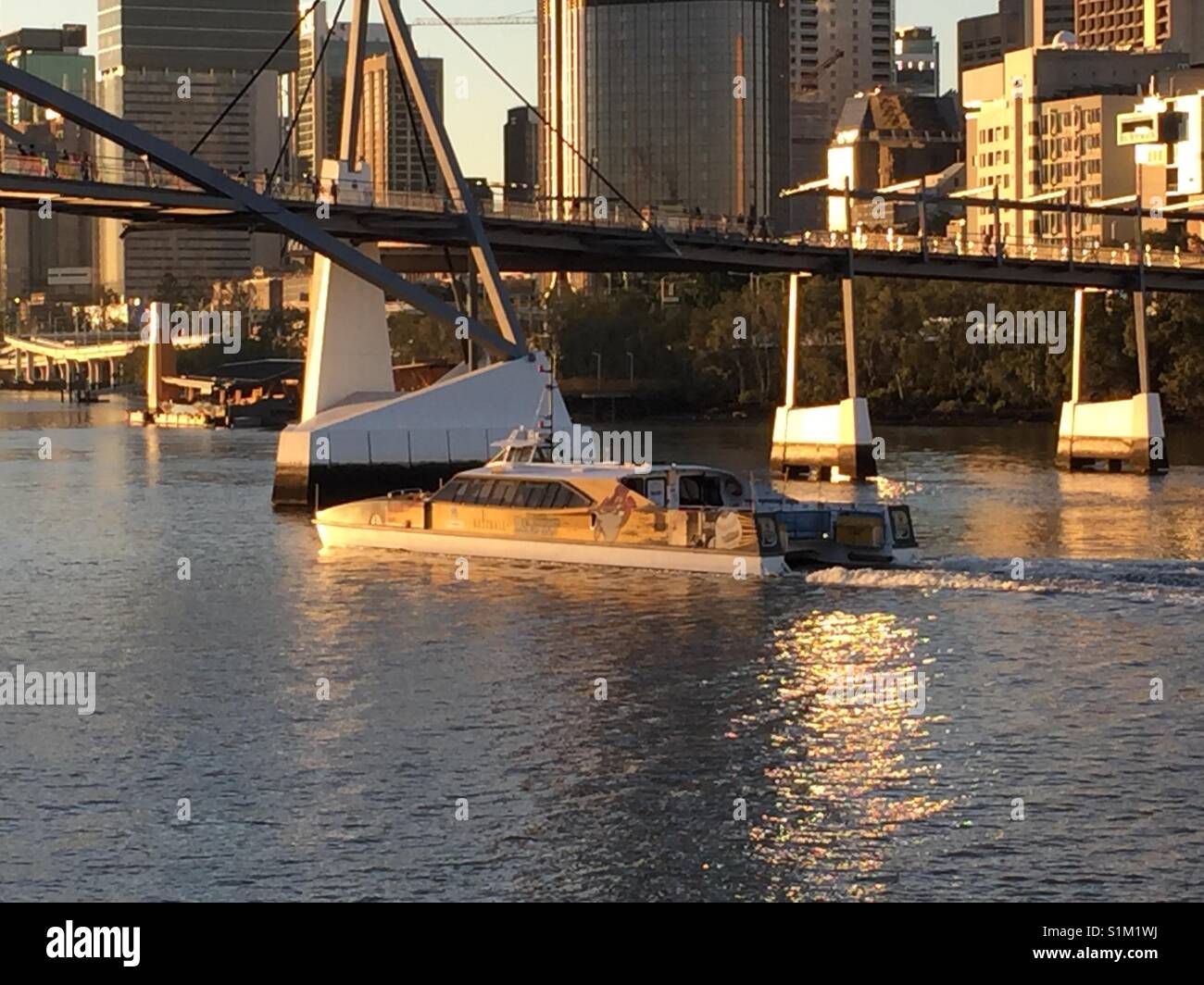 Transportation, Brisbane City Cat, Relaxing,Watching, Brisbane River