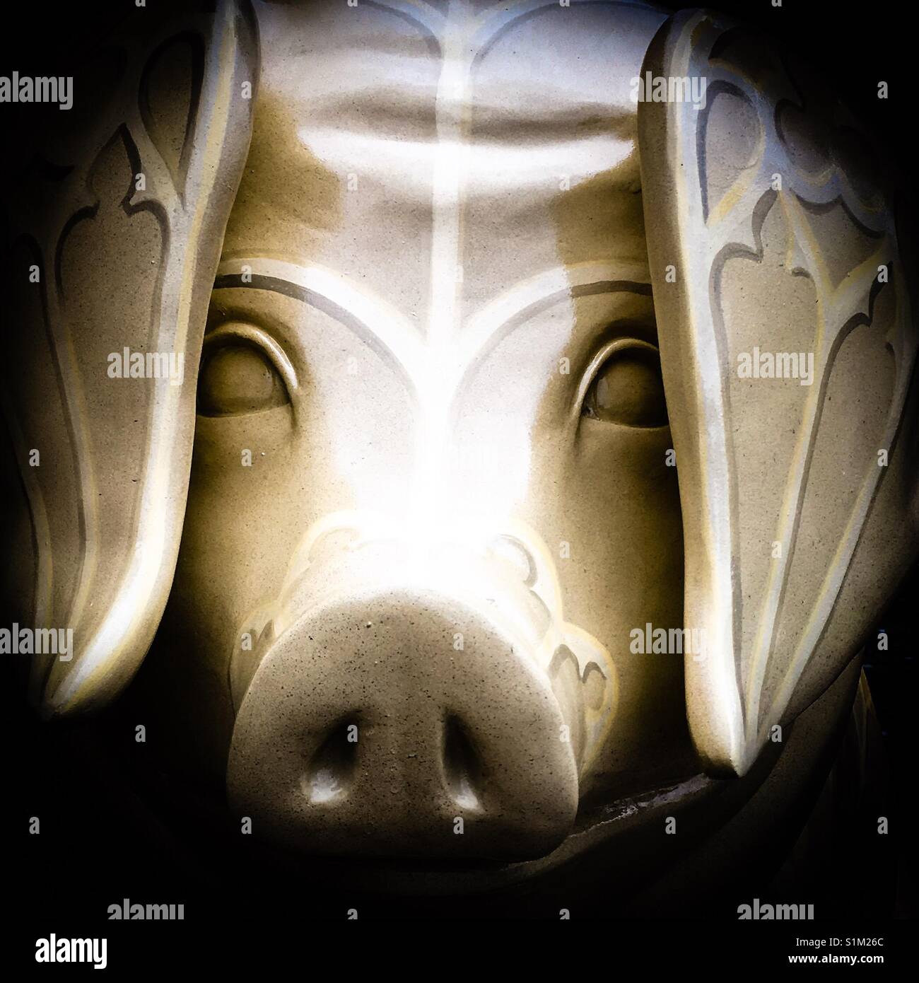 Portrait of a pig - Smartphone Captured Stock Image