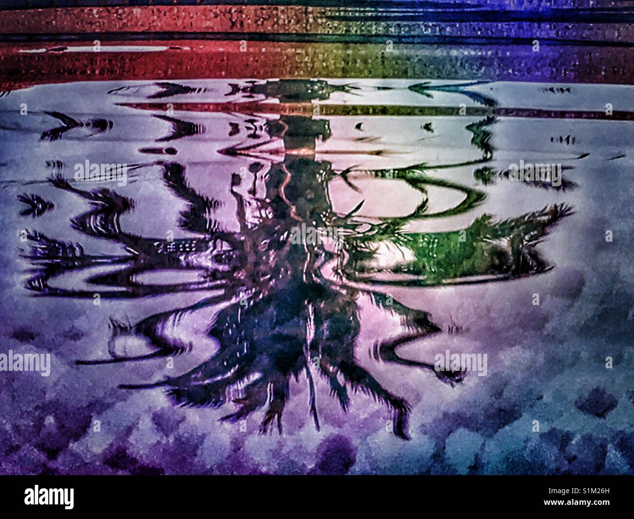 Palm tree reflected in water, multi coloured - Smartphone Captured Stock Image