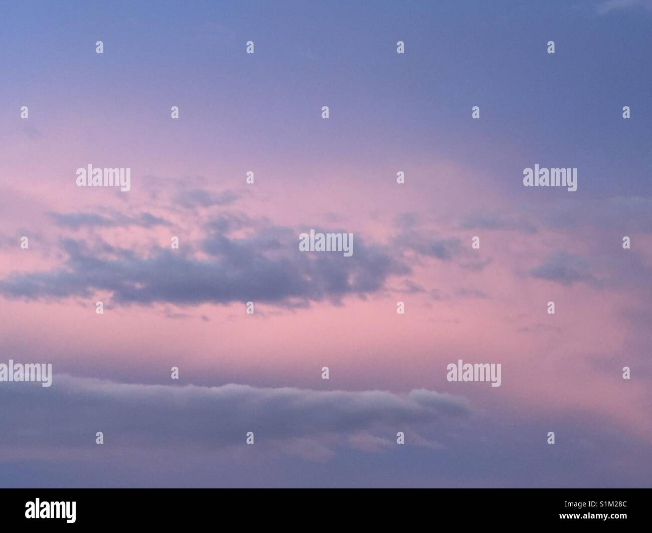 Pink sky at night with fluffy clouds Stock Photo