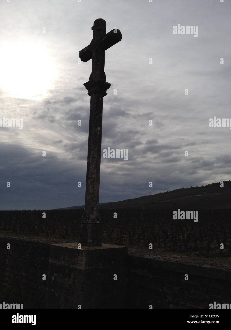 Burgundy vineyard Domaine de la Romanee Conti (DRC) Cross Stock Photo