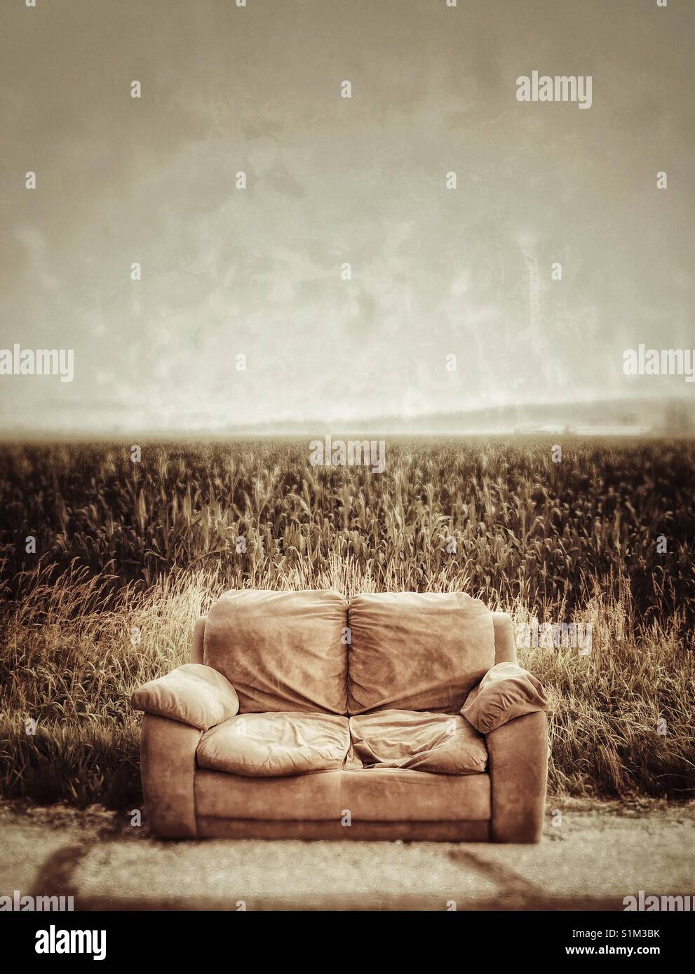 Abandoned sofa on a rural roadside with cornfield in background. - Smartphone Captured Stock Image