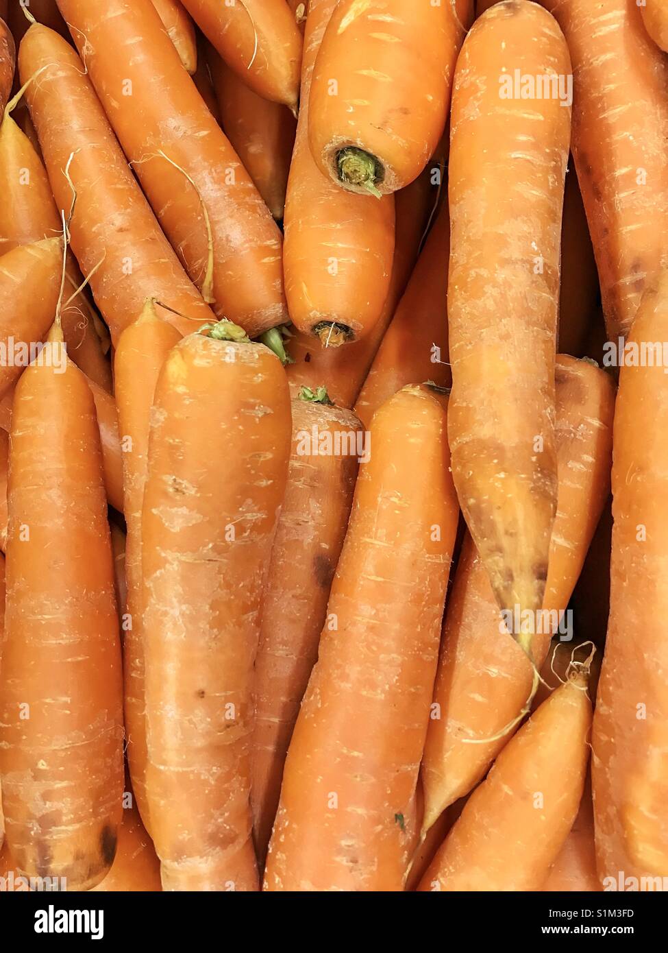 Carrots on a market shelf Stock Photo