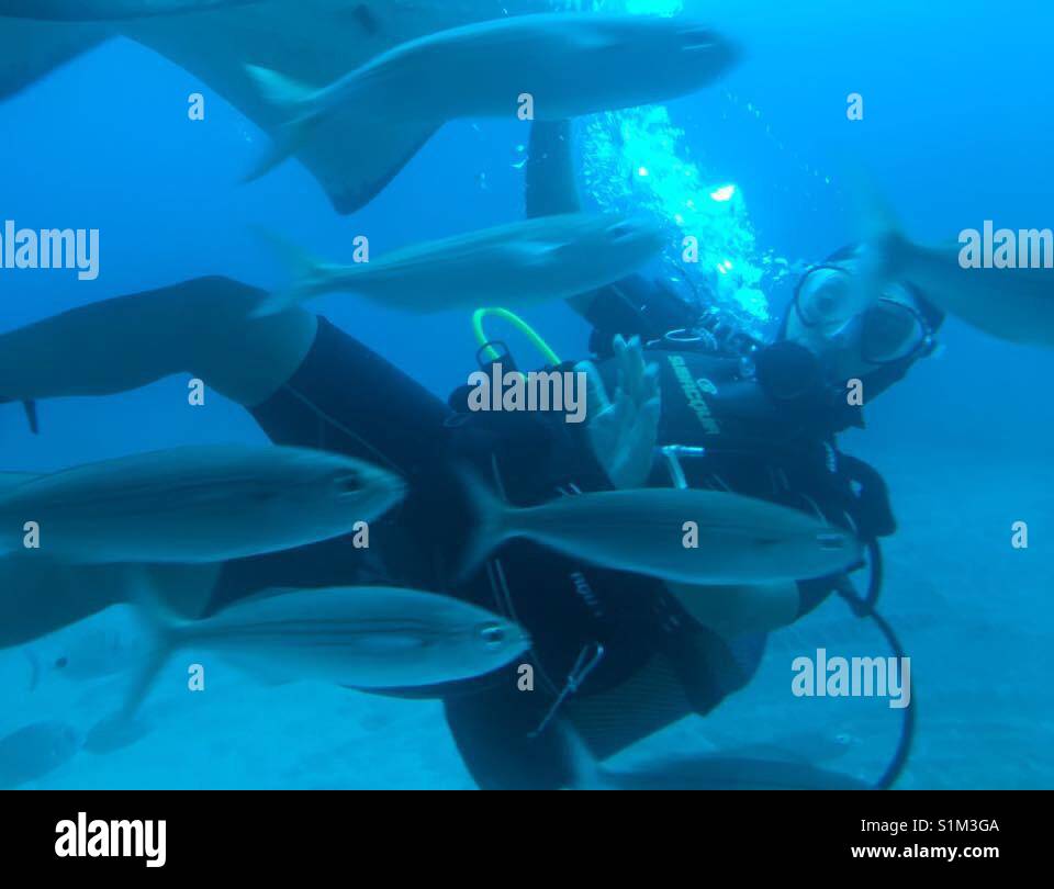 Scuba diver with fish as seen through submarine window in Tenerife - Smartphone Captured Stock Image