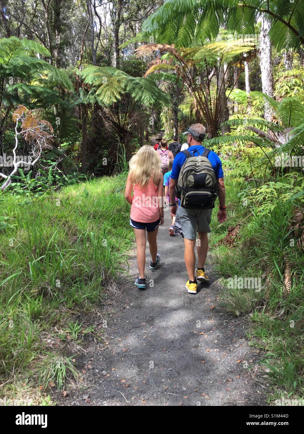 Rear view of female and male walking in group of hikers on tropical jungle trail, Hawaii. Man with backpack walks beside lady while hiking in Hawaii. Stock Photo