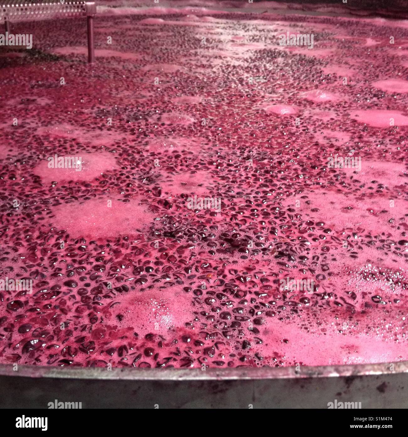 Fermenting grapes, wine Stock Photo Alamy