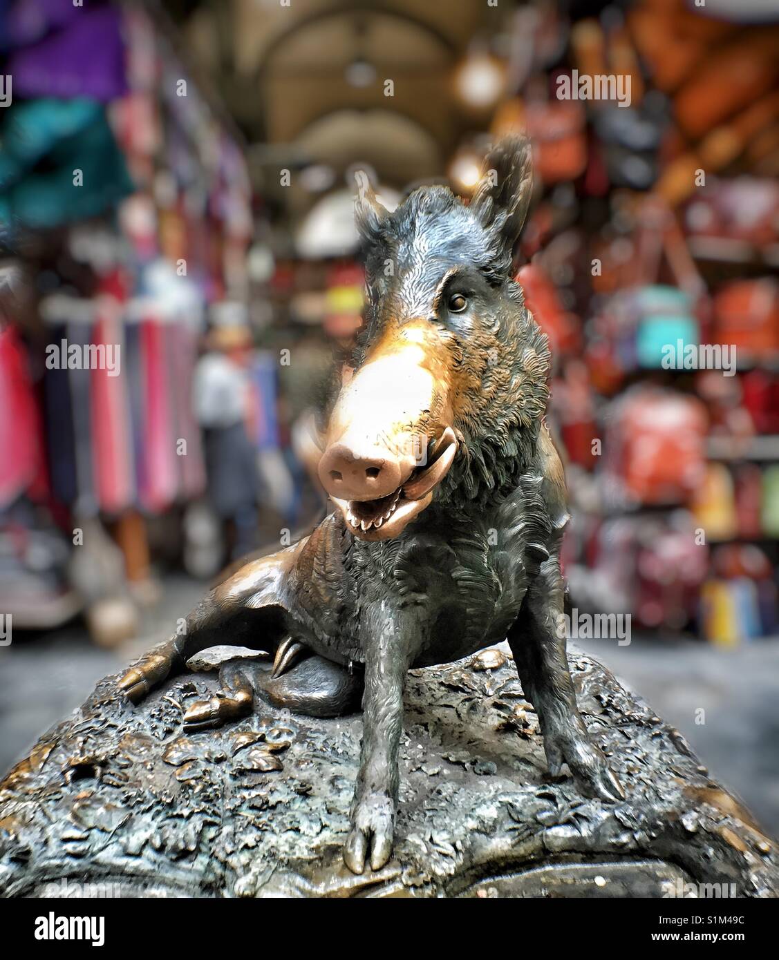 The bronze pig of Florence. Stock Photo
