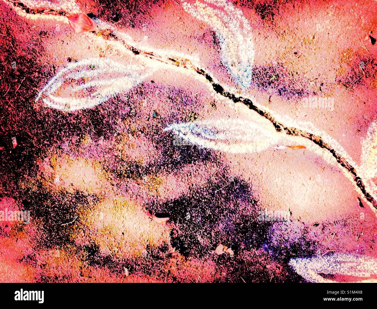 Chalk vine drawn on sidewalk crack with added filters - Smartphone Captured Stock Image