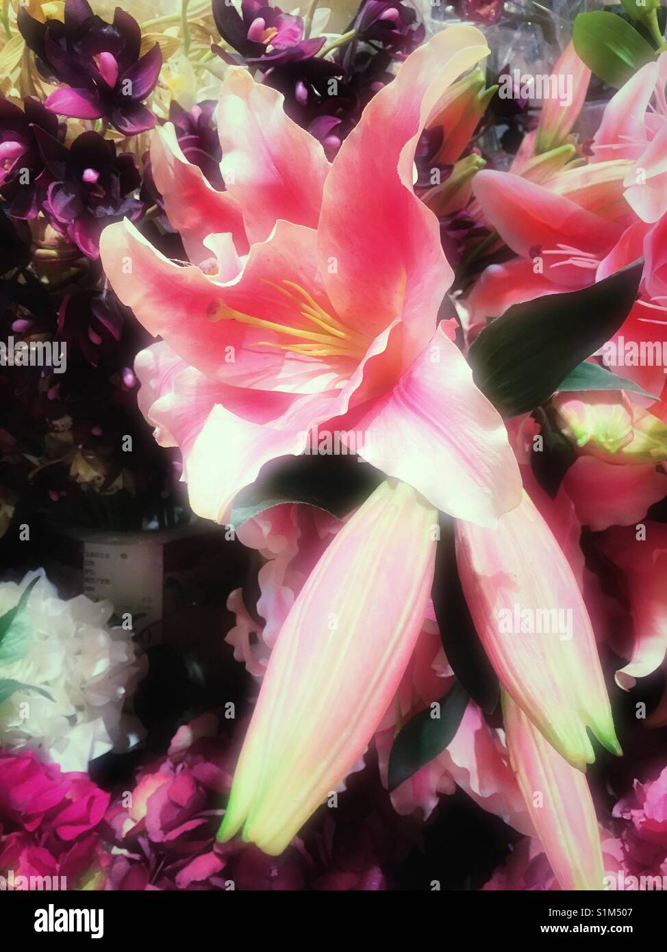 A silk artificial Casablanca lily appears Real in the flower district