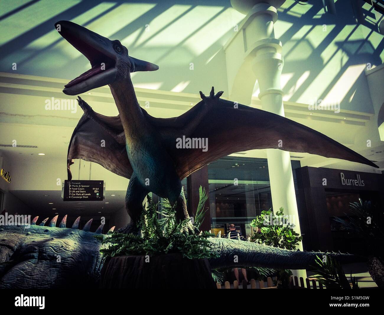 Dinosaurs in Tunbridge Wells!? - Smartphone Captured Stock Image